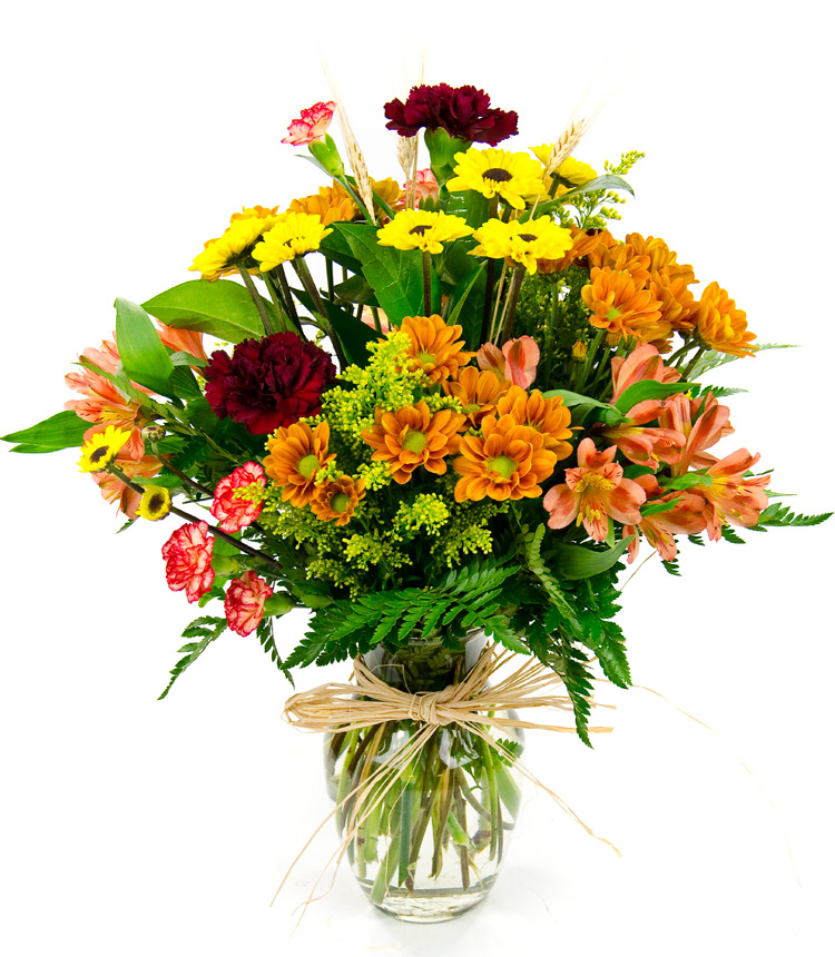 <b>Notice</b>: Undefined index: name in <b>/home/stranges/public_html/shop/vqmod/vqcache/vq2-catalog_view_theme_default_template_product_search.tpl</b> on line <b>386</b>